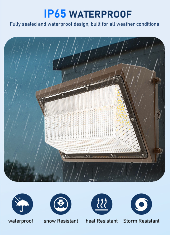 3CCT Adjustable Wall Pack LED Outdoor Lights 100W Waterproof