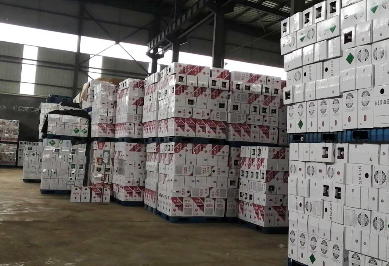 Ac R290 5kg Refillable Refrigerant Cylinders Recovery Tanks