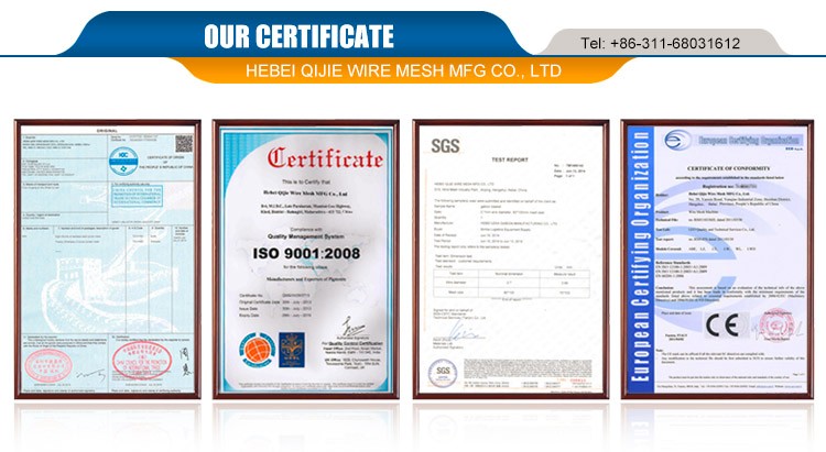 Certificate.jpg