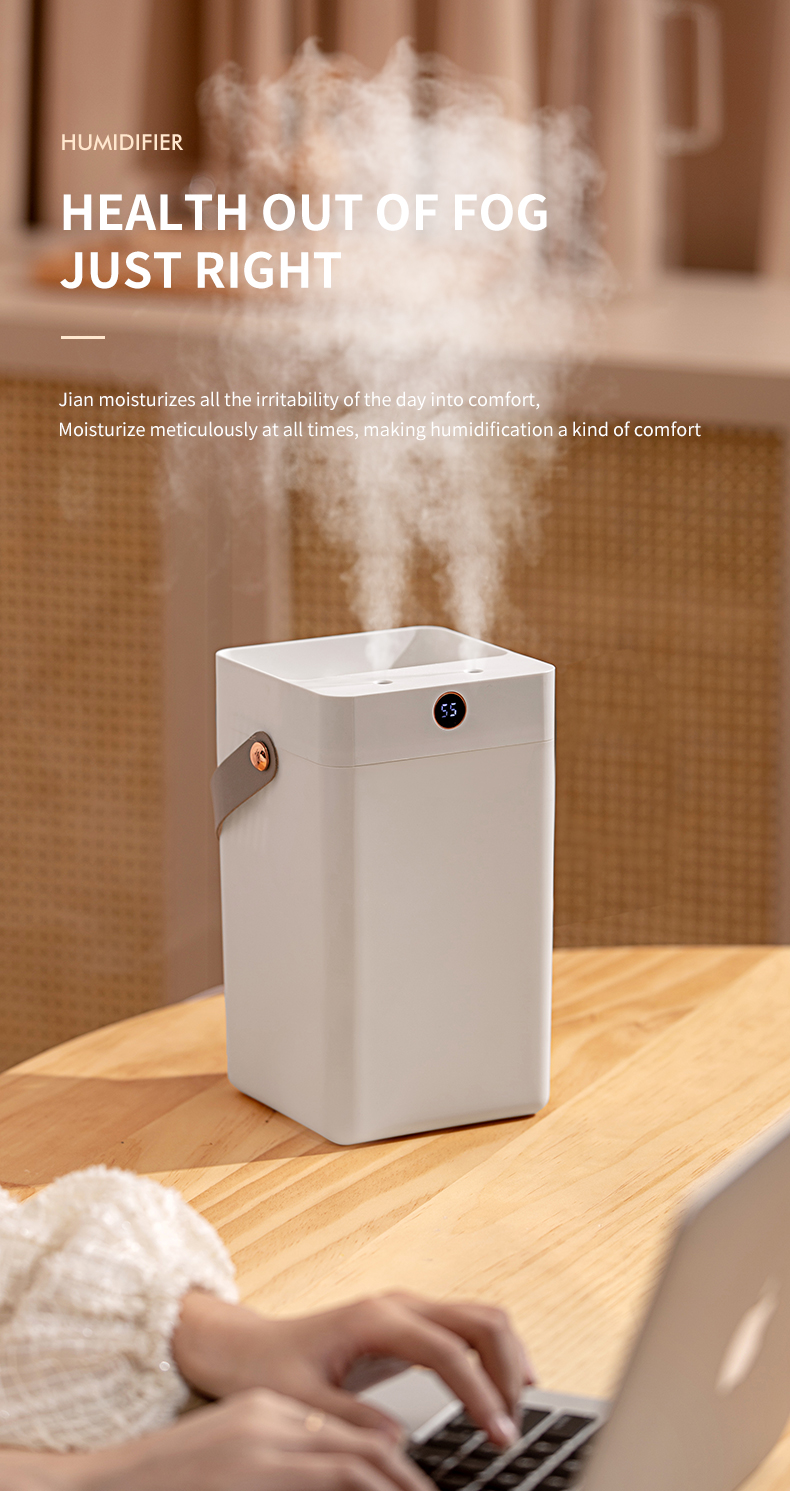 HOMEFISH Desktop 3L Double Spray Portable Ultrasonic Air Humidifiers For Office