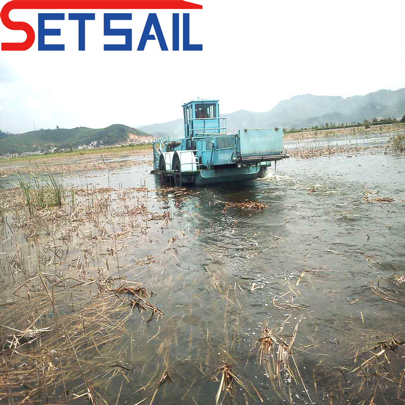 Full Hydraulic Automatic Clean River Water Hyacinth Machinery
