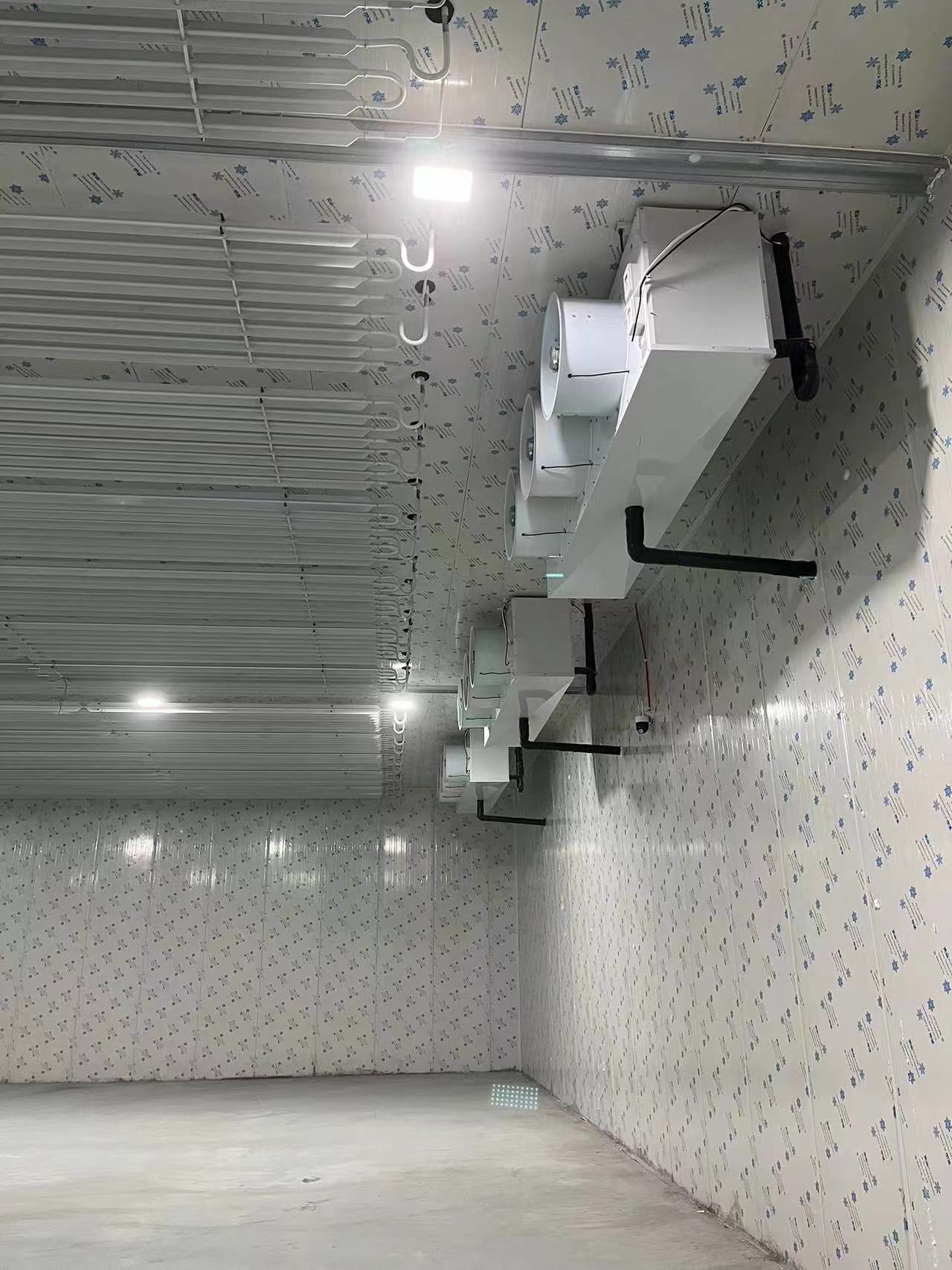 Fruit / Vegetable Freezer Cold Room Cold Storage Units For Fresh Keeping / Freezing