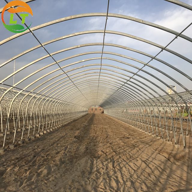 Film Covered Mushroom Cultured Greenhouse for Mushroom Cultivation and Easy Assembly