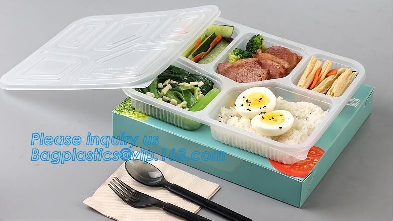 Meal Prep Containers Free Sample Bento Lunch Box Biodegradable Food Container Plastic Wheat Straw Lunch Box bagplastics