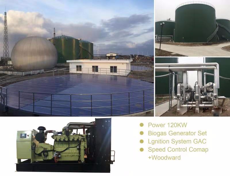 10kw 2000kw Three Phase Portable Natural Gas Generator Set 480V