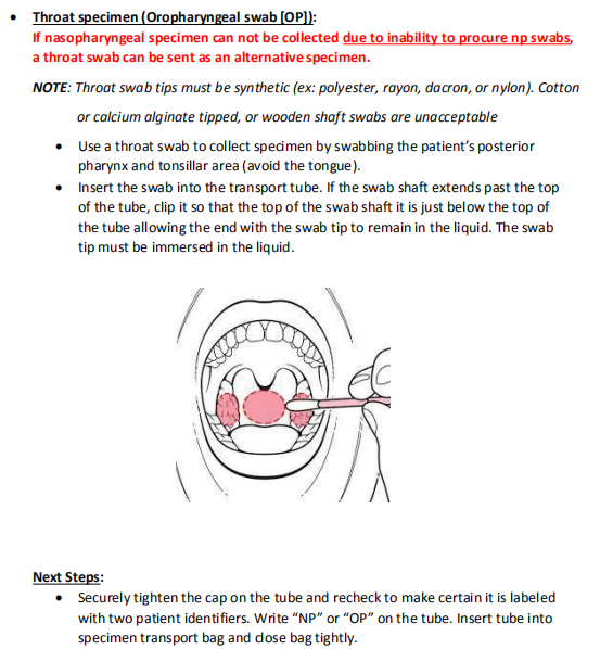 Medical Oral Disposable Sampling Swab With Break Point