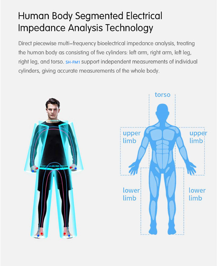 SH-FM1 3D Professional Bioimpedancia Body Composition Analyzer Machine Body Composition Analyzer for beauty salon