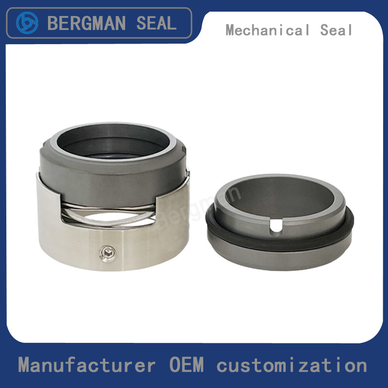 M74D M74F 20mm-100mm G60 G4 G6 G9 G13 G16 BS Bo BP Pump Mechanical Seal