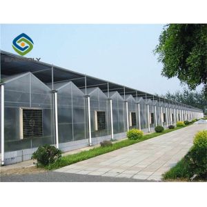 1.2 G/m3 Mult Span Polycarbonate Sheet Greenhouse