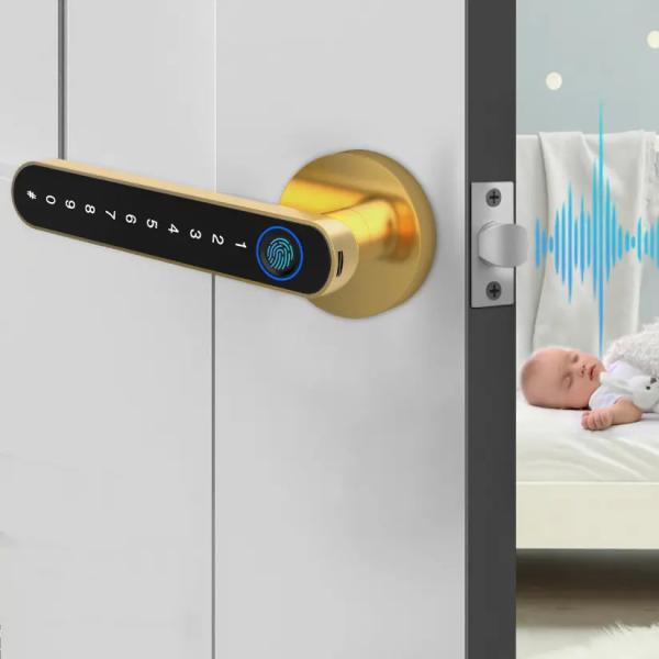 Fingerprint Password Tuya App Door Lock Aluminium Grip Open Biometric Door