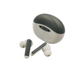  ITE Rechargeable Hearing Aids With Speech Enhancement And Echo Suppression Manufactures