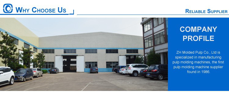 Biodegradable Wheat Straw Pulp Making Machine