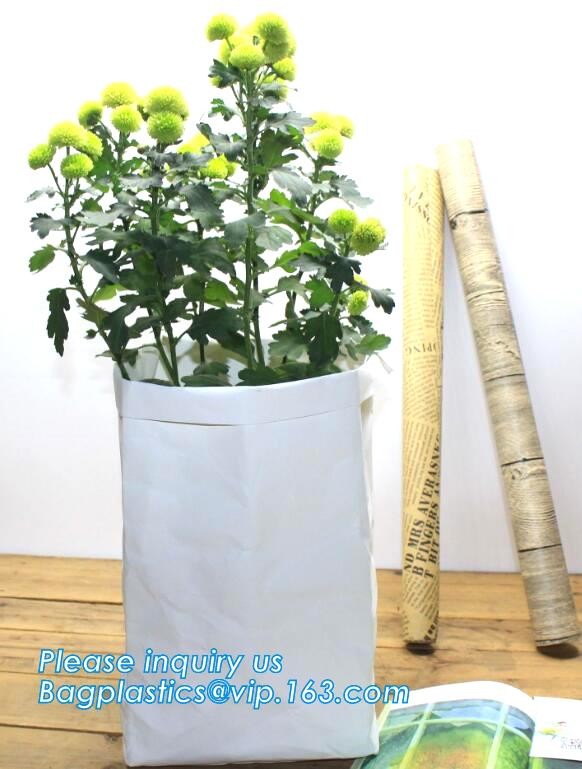 Button String Custom Tyvek Envelopes, packaging gift white tyvek envelope, tyvek dupont envelop bag file folder bagease