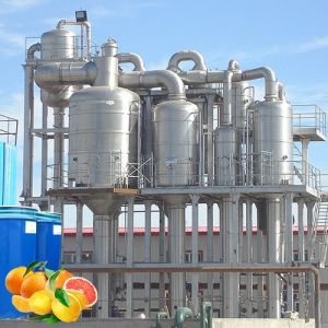 Industrial Citrus Juice and Jam Processing Line Intelligent Cleaning Juice