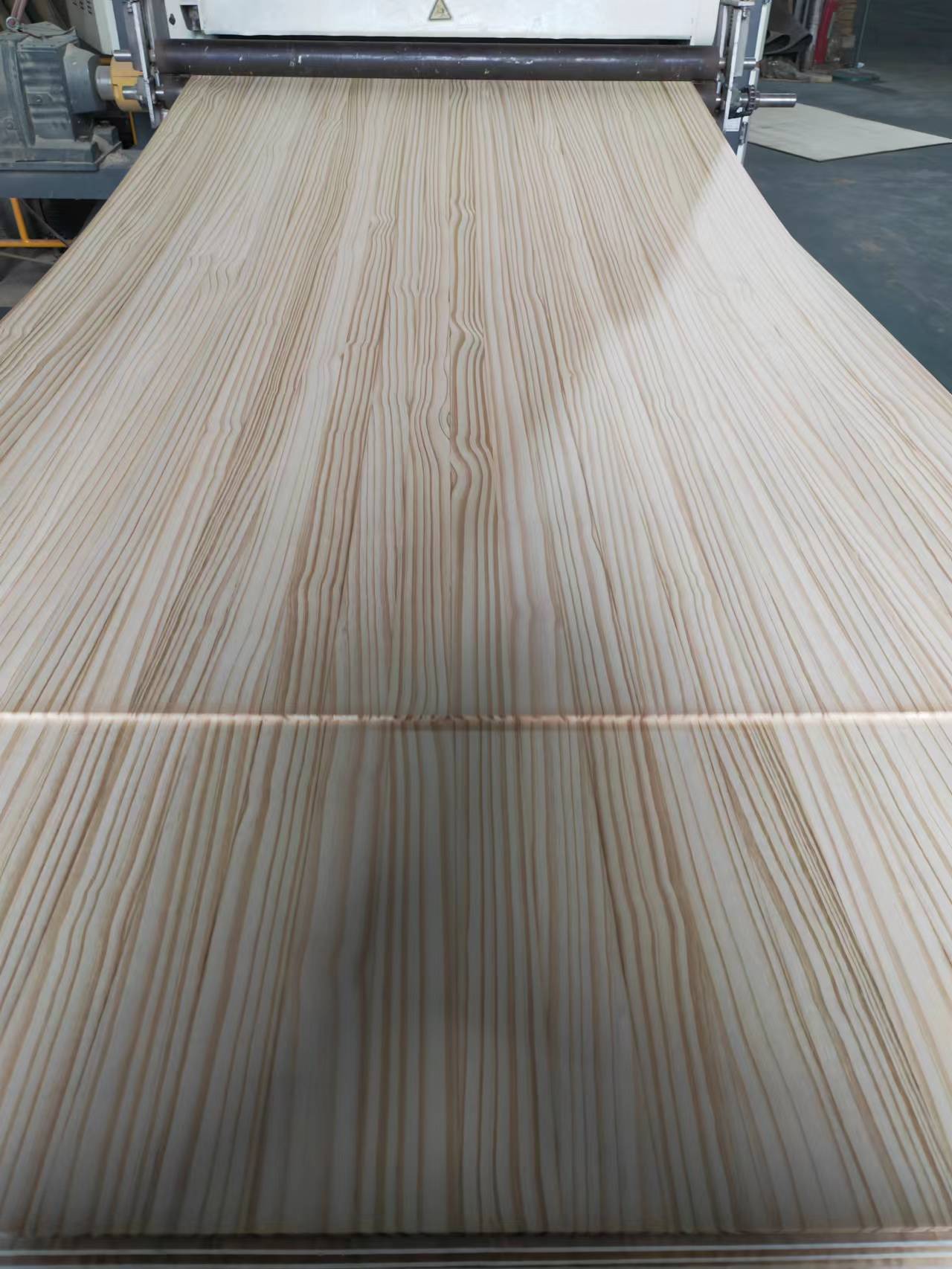 Paulownia Wood Boards with Free Sample Moisture Content 8%-12% Modern Design Style