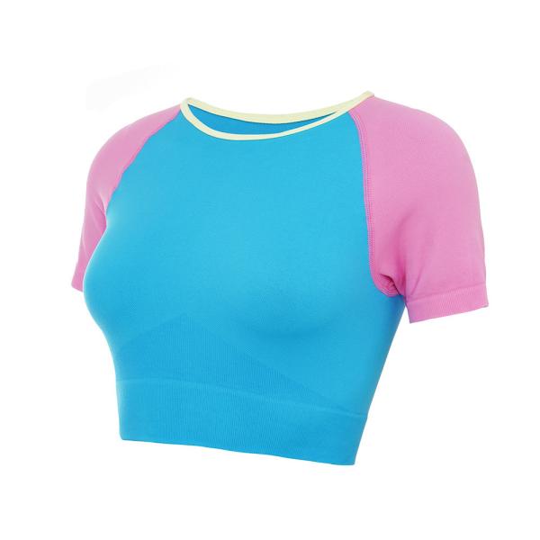 Oem Factory Manufacturer Custom Logo Short Sleeve OEM T Shirts Fast Dry Womens
