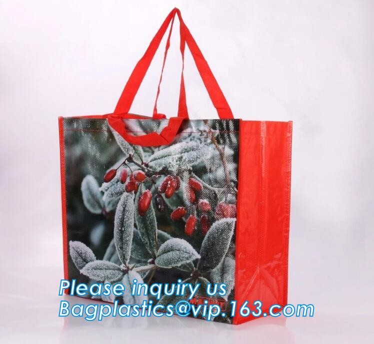 Custom Huge Luggage PP Woven Bag With Zipper Lock,PP Woven Shopping Bag,Factory customized cheap laminated pp woven shop