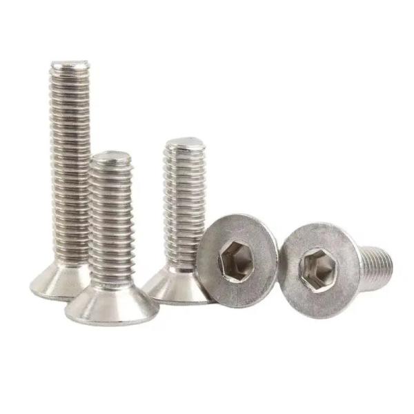 Temperature Resistant Stainless Steel Fasteners with Polished Finish for
