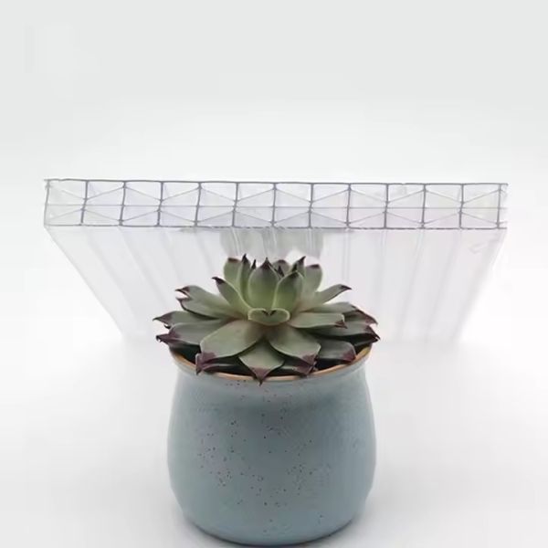Transparent Eco-friendly X-structure Multiwall Polycarbonate Sheet 16mm