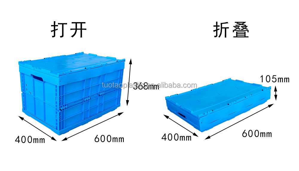 PE Material Custom Plastic Egg Tray for Food Storage Container Sturdy Mesh Style