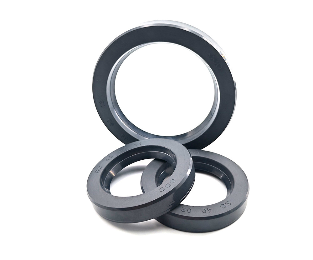 Servo Motor Oil Seals NBR FKM TC TB SC Auto Seals Double And Single Lip Oil Seal