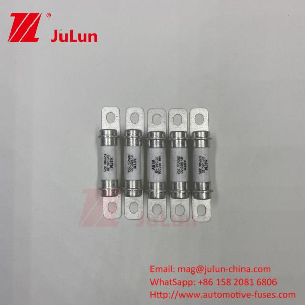 Electric Electric Vehicle 30A 15A Ceramic Tube High Break Safety Protection Fuse