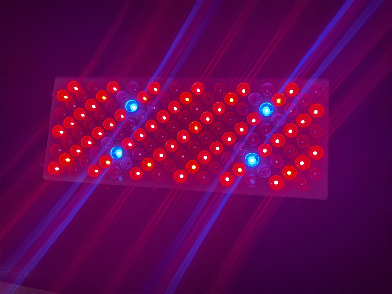 600w Body Care Red Light Therapy Device Red Nir Spectrum Customization For Flawless Skin