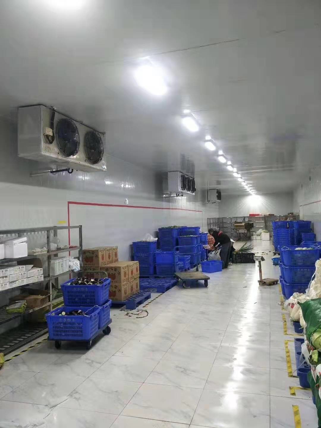 Copeland Compressor Cold Fish Storage Freezer Cold Room Refrigeration Unit