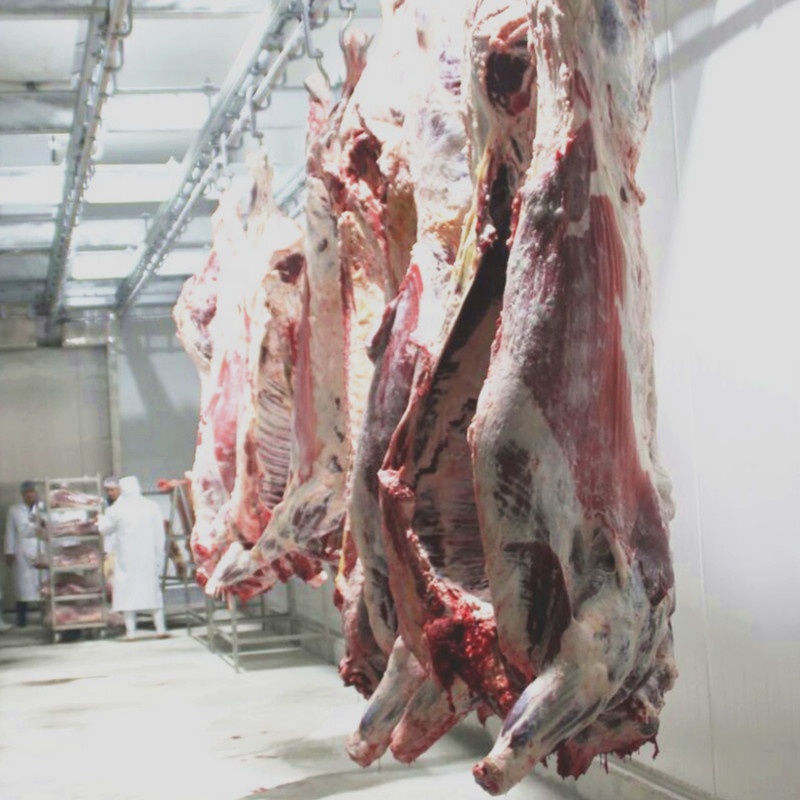 Customized 7.5KW Slaughterhouse Cow Machine Automatic Cow Slaughtering Machine