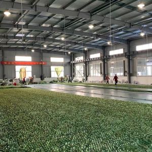 Factory Custom Ripstop Double Layers 600D Desert Jungle Camouflage Netting for