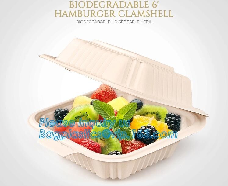 Meal Prep Containers Free Sample Bento Lunch Box Biodegradable Food Container Plastic Wheat Straw Lunch Box bagplastics