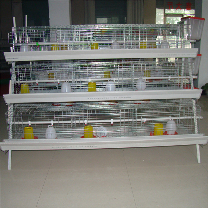 195 * 50 * 35CM Chick Brooder Cage , High Efficiency Cage Layer Farming