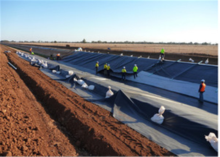 Hdpe Swimming Pool Polyethylene Geomembrane Flexible Small Pond Liner