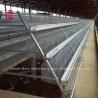 Buy cheap 3 Tiers Hot Dip Galvanized Poultry Farm Chicken Cage, Layer Chicken Cage Hot from wholesalers