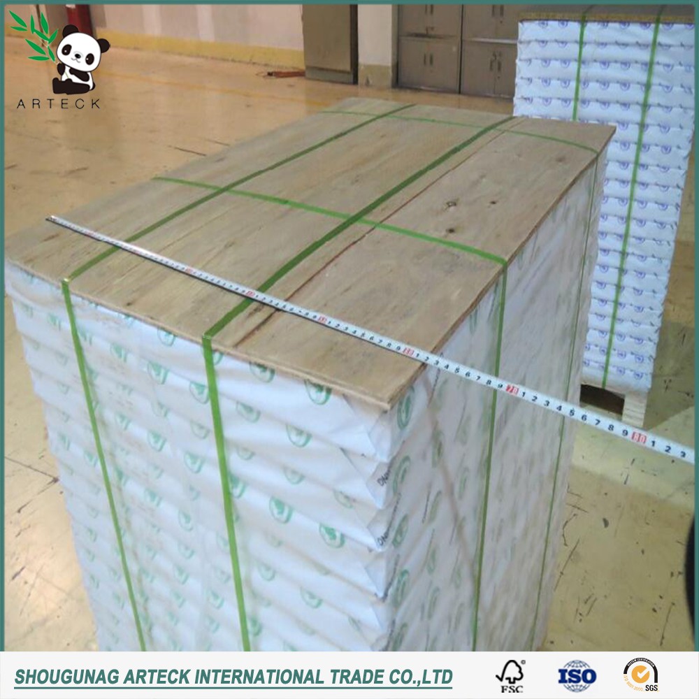 Gift Wrapping Paper 250g300g Coated One Side C1s/Fbb for Making Postcard