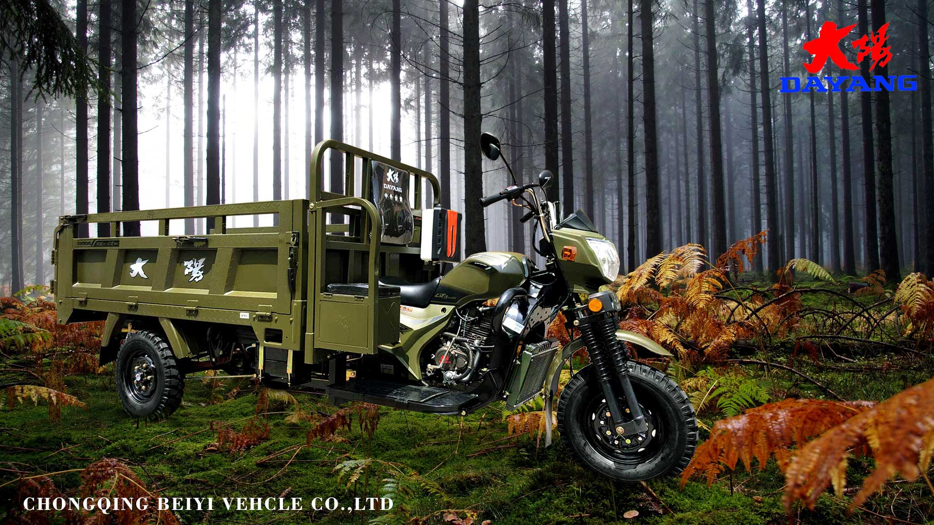 DAYANG 5.0-12 Tire Size Motorized Tricycle for Food Delivery in Tanzania Market
