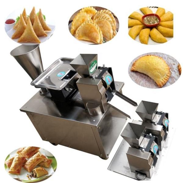 110v 220v 240v fully automatic dumpling Gyoza machine Ravioli/Pierogi/Elmeni