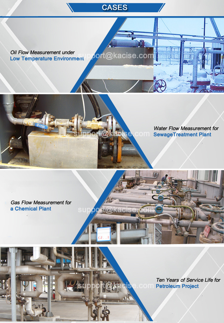 High Viscosity Coriolis Mass Flow Meter 0 - 1000kg/h