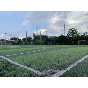 Monofilament Football Artificial Turf Roll Width 2.0m 30N