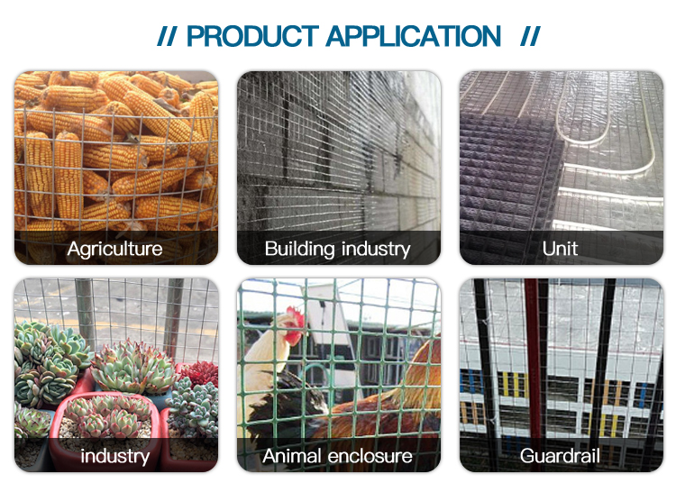 Electro Galvanized Welded Wire Mesh for Concrete Reinforcing 5.5x5.5 at Competitive