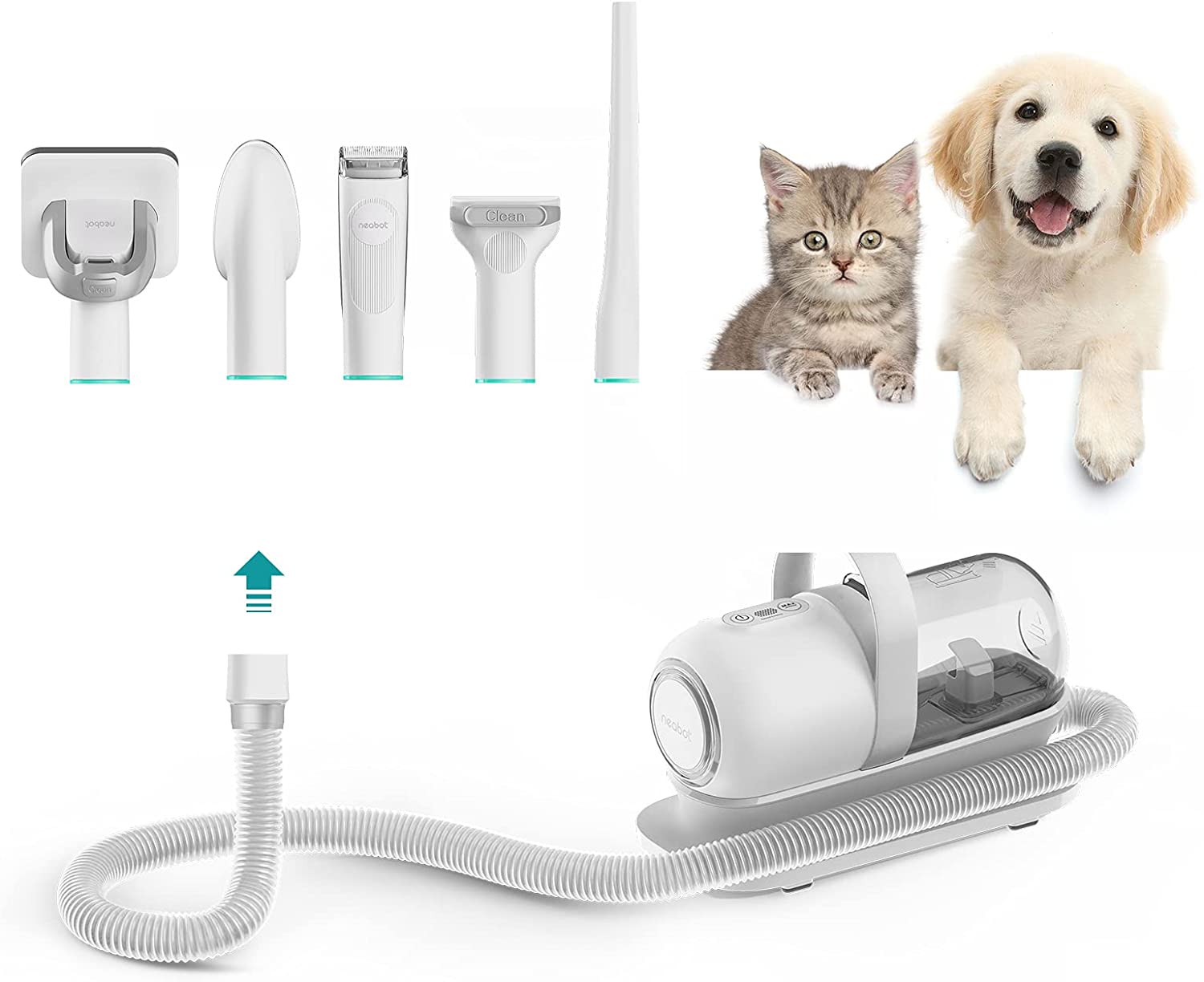Grooming Tools Pet Hair Professional Grooming Vacuum with 5 Tools and 1.3m Power Cord