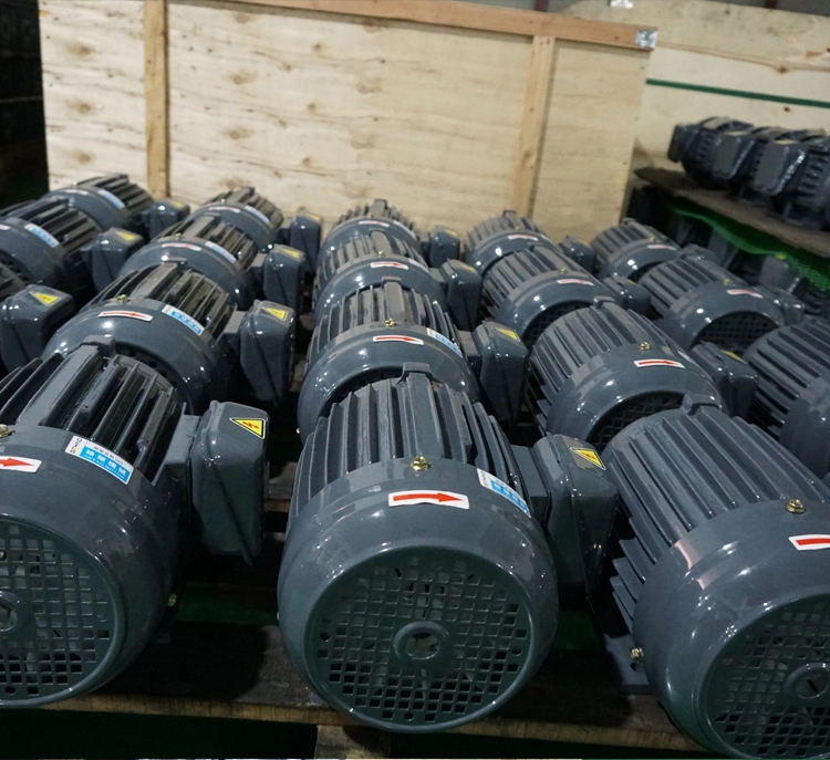 hydraulic pump motor