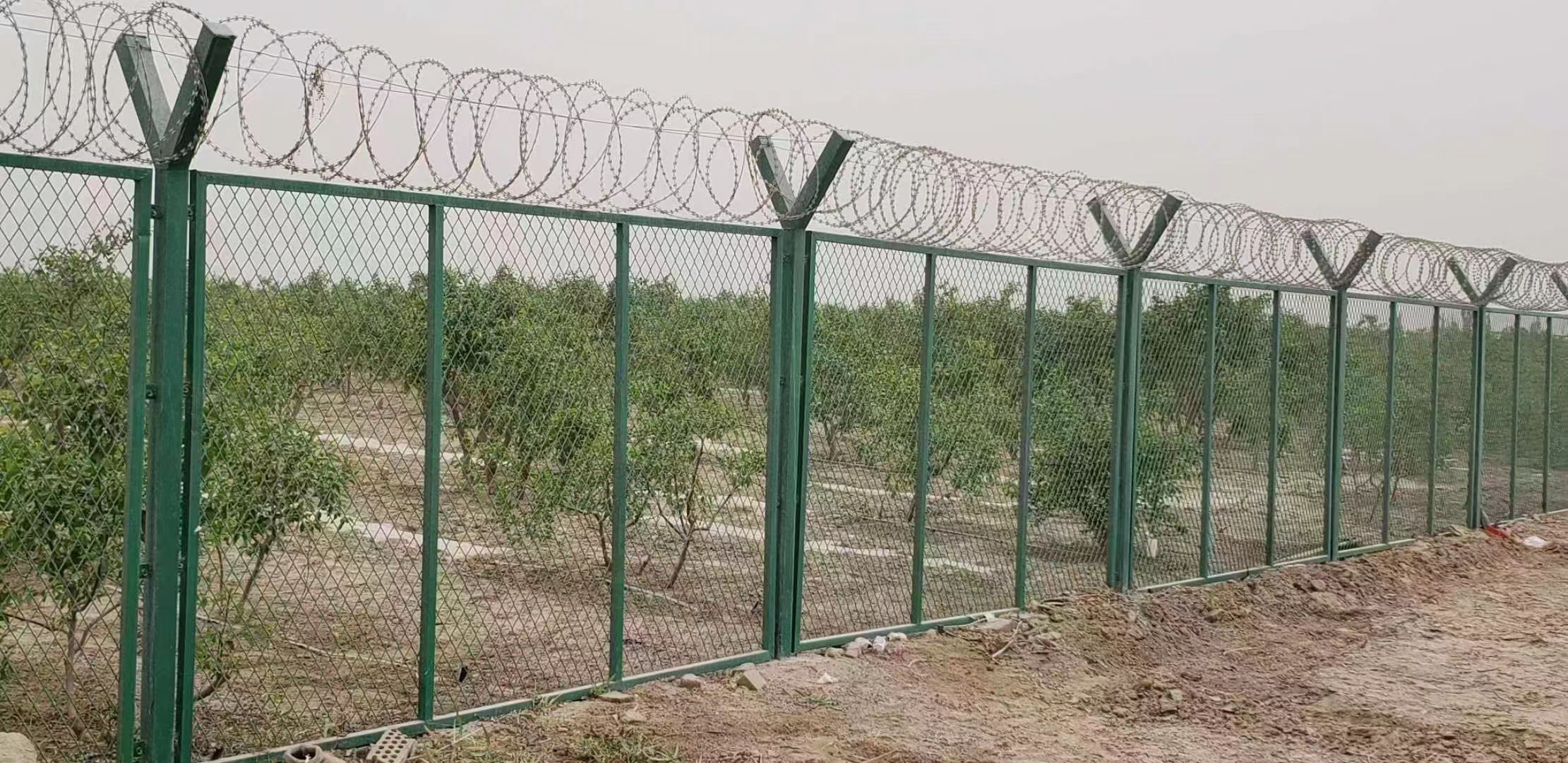 pvc wire mesh plastic coated chain link fence aquaculture purse seine orchard protection net pvc coated chain link fence
