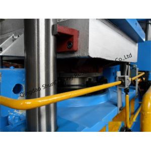 Full Automatic Duplex Rubber Curing Machine/Oil Seal Making Machine