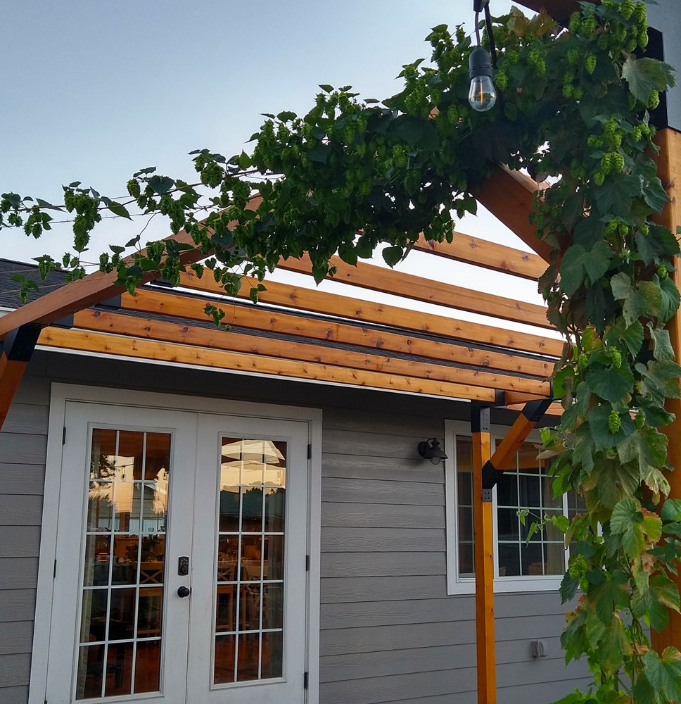 Enhance Your Pergola Kit with 6x6 Lumber Shoulder and Lag Bolts 1mm-12mm Thickness