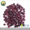 Buy cheap Halal food chinese freeze dried black currant from ISO certified company from wholesalers