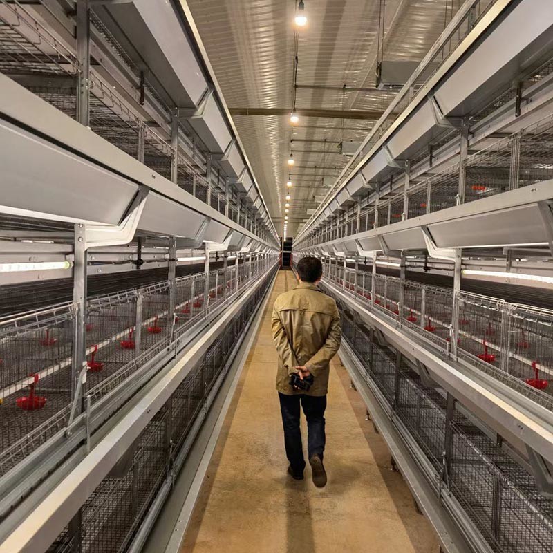 Egg Chicken Automatic Battery Cages Hot Galvanized