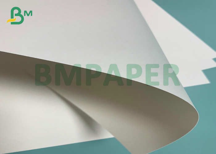 190gsm 210gsm CUPP1S CUPP2S PE Coated Cup Paper For Hot Drink Paper Cup