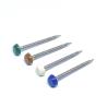 Buy cheap 65mm Annular Stainless Ring Shank Nails With Plastic Head A4 Grade from wholesalers