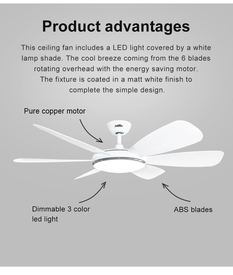 10- 6-Blade LED Ceiling Fan with Remote Control and Customizable Suspension Length